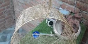 Wire Mesh Hamper