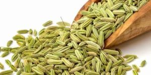 Fennel Seeds