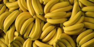 Yellow Banana