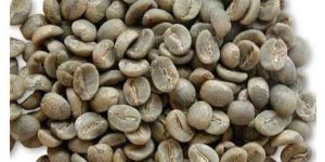 Arabica Coffee Beans