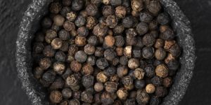 Black Pepper Seeds
