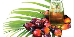 Refined Palm Oil