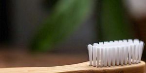 Organic Bamboo Toothbrush