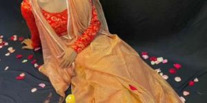 Banarasi Tissue Crush Soft Silk Saree