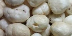 6 Plus Suta Makhana