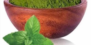 Mint Leaf Powder
