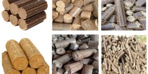 Bio Mass Briquettes
