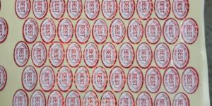 Fruit Paper Stickers