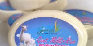 50 Gram Goat Milk Soap