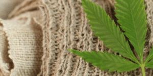Natural Hemp Fibers