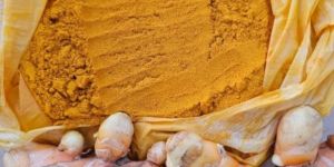 Lakadong Turmeric Powder