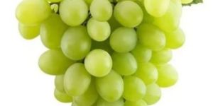 a Grade Fresh Green Grapes