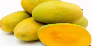 Fresh Dashehari Mango