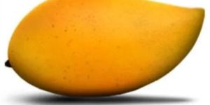 Fresh Totapuri Mango