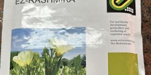 F1 Hybrid Lady Finger Seeds