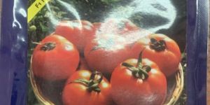 SW 1508 Hybrid Round Tomato Seeds