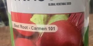 Winseed Beetroot Seed