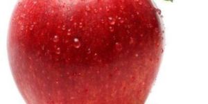 Fresh Kashmiri Apple