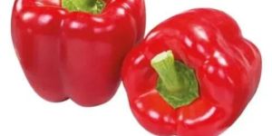 Red Bell Pepper