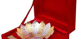 Silver and Gold Plated Bowl Spoon Set