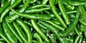 Green Chilli
