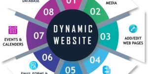 Dynamic Website Development