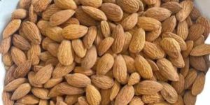 Independent Almond