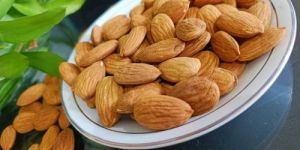 Non-Pareil Almond