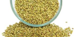 Coriander Seeds