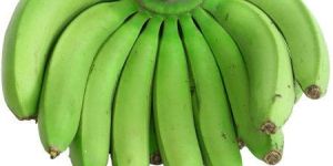 Fresh Green Banana