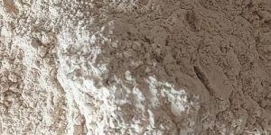 De Oiled Rice Bran