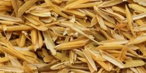 Rice Husk