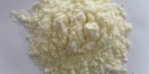 Lactose Powder