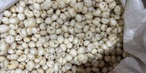 Makhana Flake