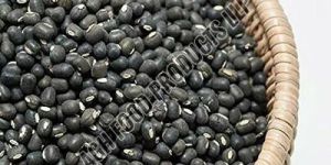 Black Urad Dal