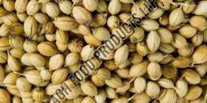 Dry Coriander Seeds