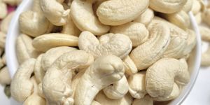 Dried Cashew Nuts