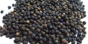 Black Pepper Seeds