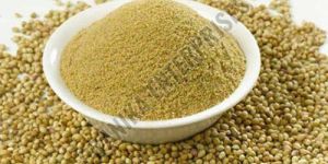 Coriander Powder