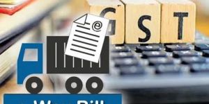 E Way Bill E Invoice Software Service