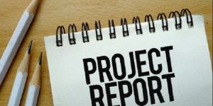 Project Report Service