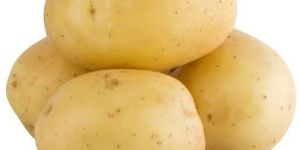 a Grade Fresh Potato