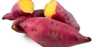 a Grade Purple Sweet Potato