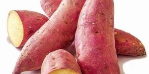 a Grade Sweet Potato
