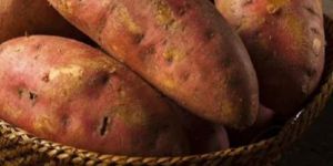 Brown a Grade Sweet Potato