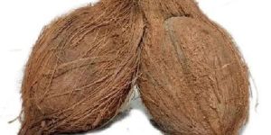 Semi Husked Coconut