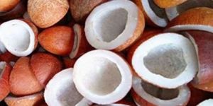 Natural Dry Coconut Copra