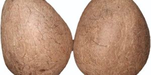 Organic Whole Coconut Copra