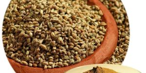 Ajwain Powder