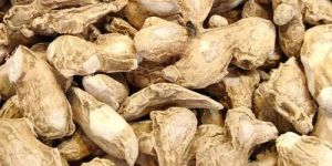 Dry Ginger